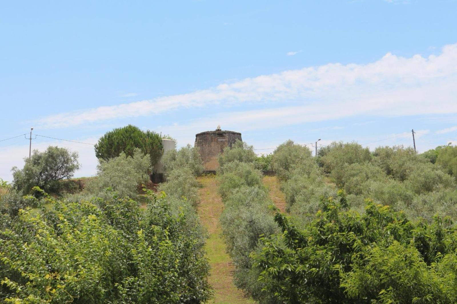 Casa Da Alagoa Farm stay Batalha
