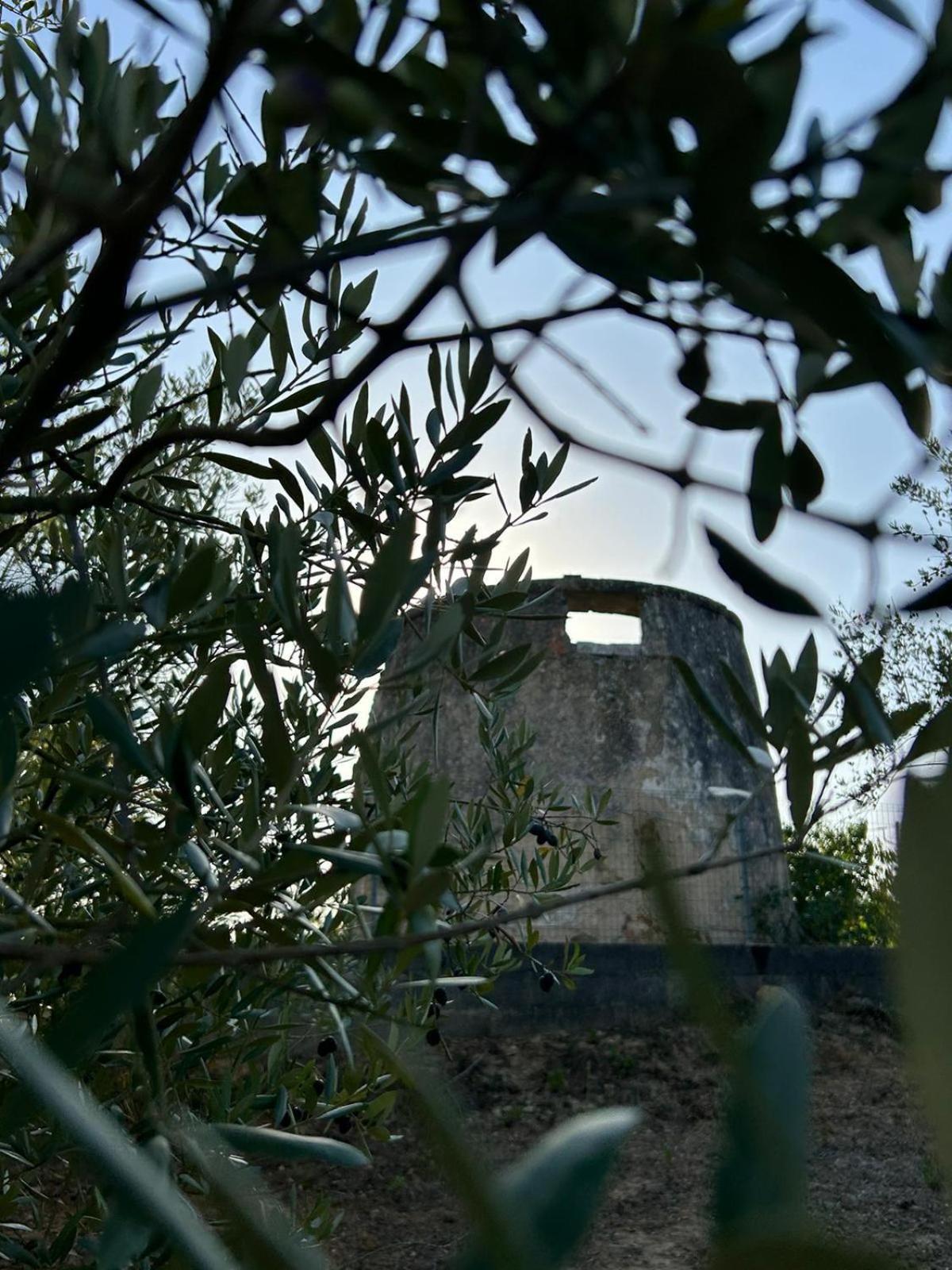 Farm stay Casa Da Alagoa *